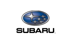 Subaru gas struts