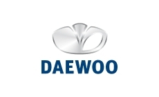 Daewoo gas struts