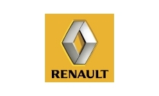 Renault gas struts