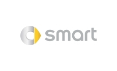 Smart Car gas struts