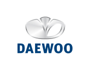 Daewoo gas struts