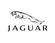 Jaguar gas struts